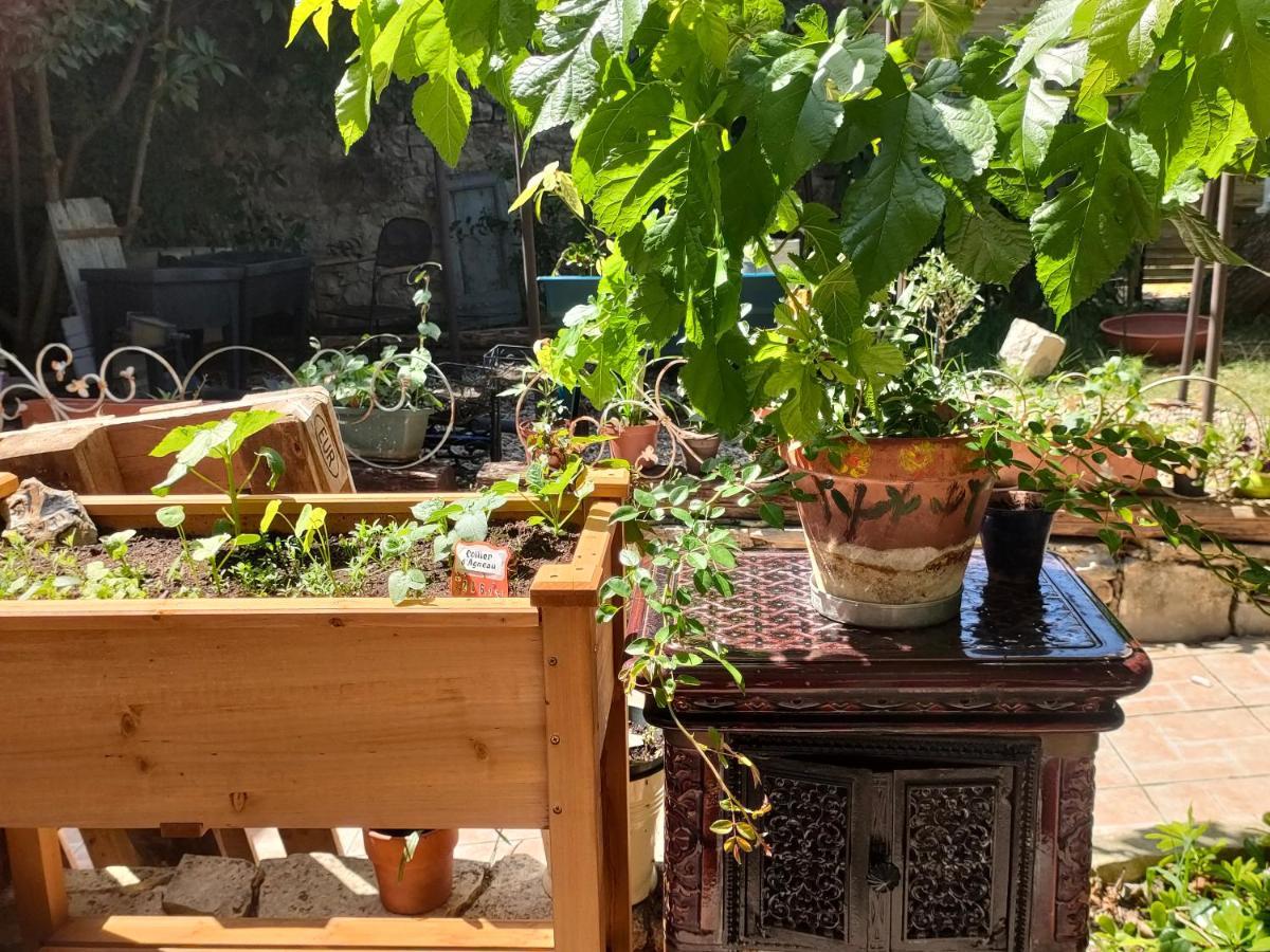 Les P'Tits Velos Bed & Breakfast Chandolas Dış mekan fotoğraf
