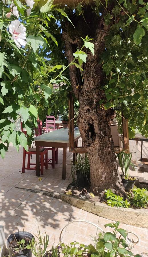 Les P'Tits Velos Bed & Breakfast Chandolas Dış mekan fotoğraf