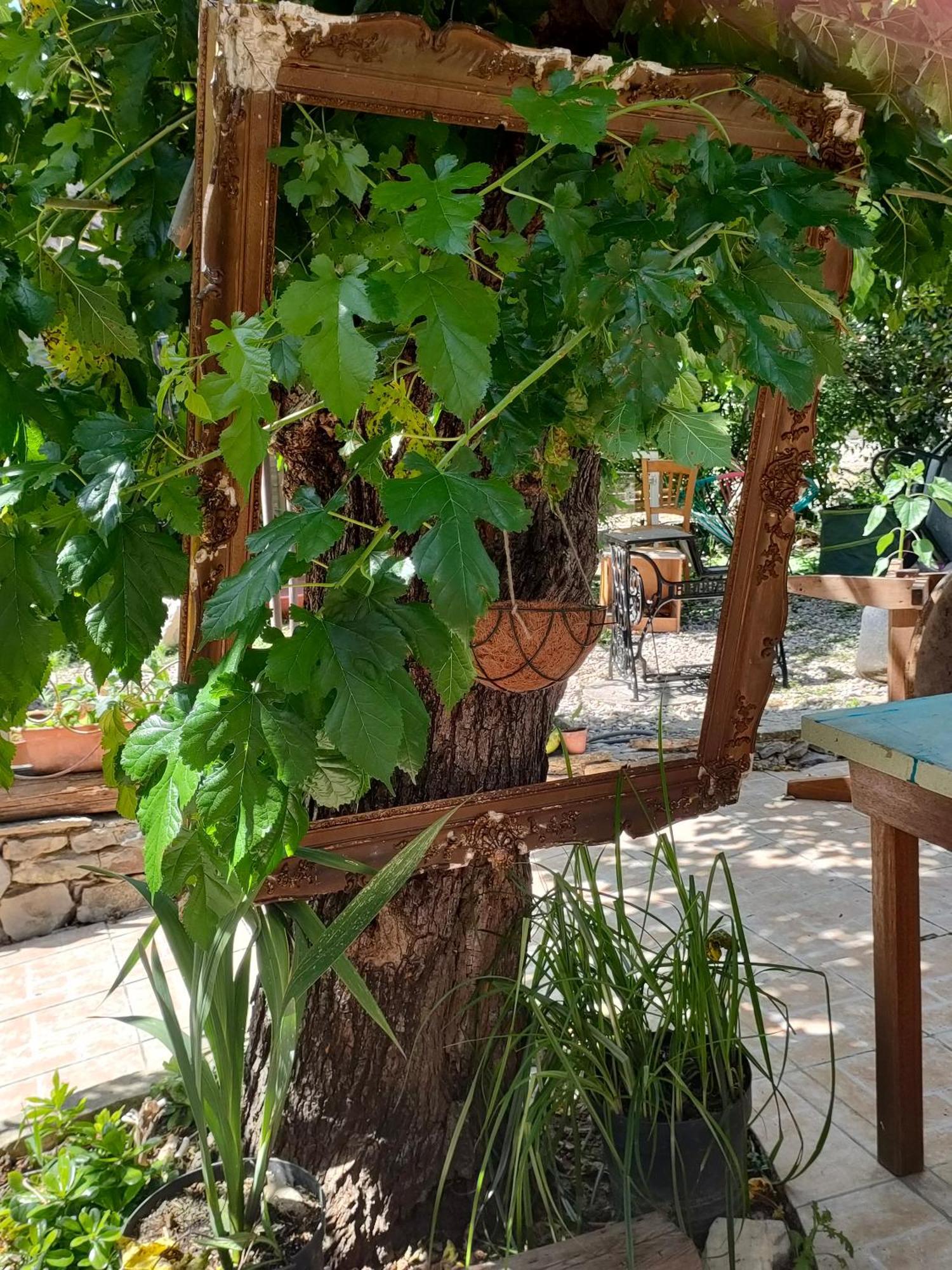 Les P'Tits Velos Bed & Breakfast Chandolas Dış mekan fotoğraf